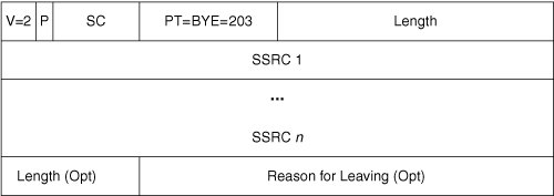 RTCP BYE Packet Format