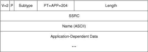 RTCP APP Packet Format