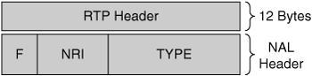 NAL Unit Packet Format