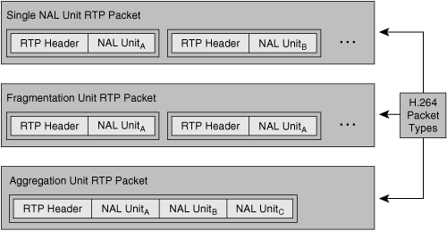 H.264 Packet Type Formats