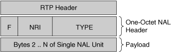 Format of the SNALU RTP Packet