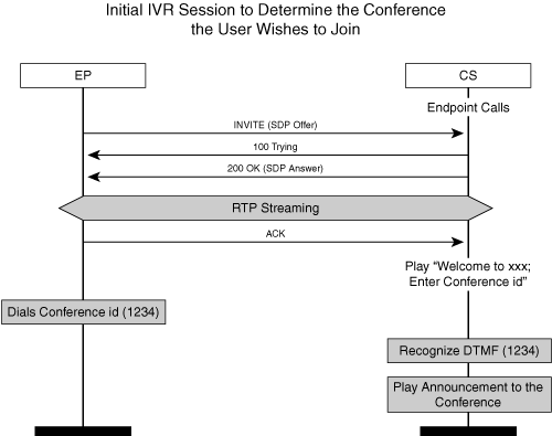 Initial IVR Session