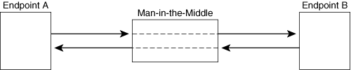 A Man-in-the-Middle Attack Between Two Endpoints