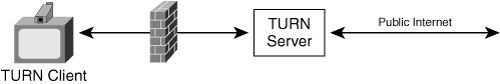 TURN Server Topology