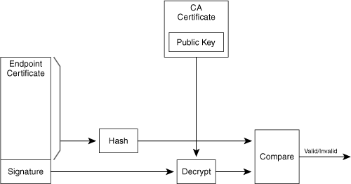 Certificate Signature Verification