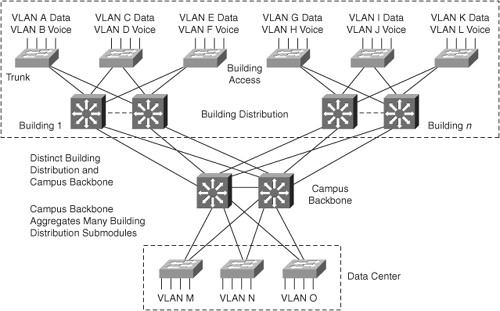 Medium-Sized Campus Network Design