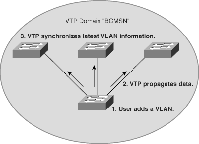 VTP Protocol