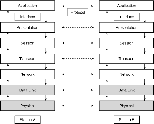 OSI Reference Model