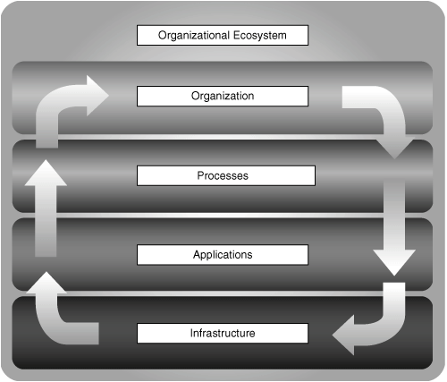 The Organizational Ecosystem