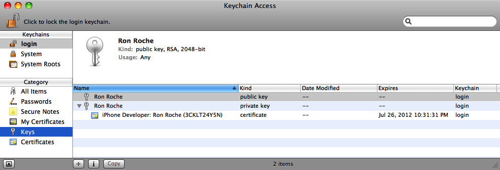 A public/private key pair, with a Development Certificate associated to the private key