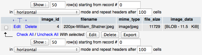 PhpMyAdmin reports BLOB columns—regardless of what type of BLOB you used—as BLOB and a size. In this case, you can see that the file size, at 11729 bytes, matches up with the size of the data in the BLOB column, which is 11.5KiB. This is a good way to make sure things are working: your script is correctly getting the size of the image it’s inserting into your database table.