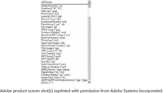 Acceptable Formats for Import into Flash