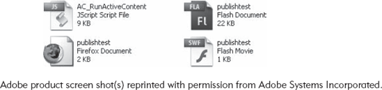 The Files That Are Created When You Select Publish.