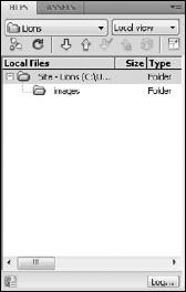 When site setup is complete, the files and folders in an existing site are displayed in the Files panel.