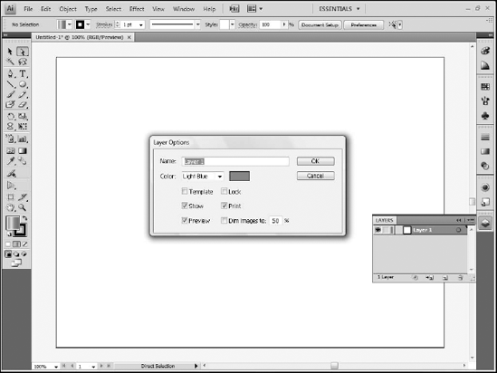 The Layer Options dialog box