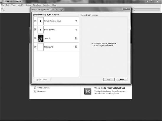 The Import to Stage dialog box