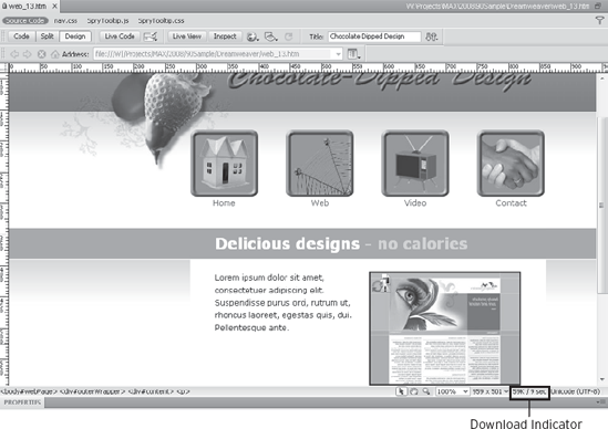 Note the Download Indicator whenever you lay out a page with extensive graphics or other large multimedia files.