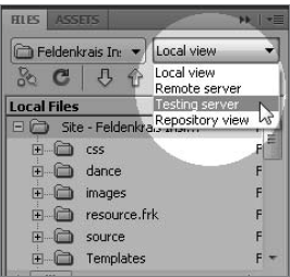 Work with your defined server files in the Files panel.