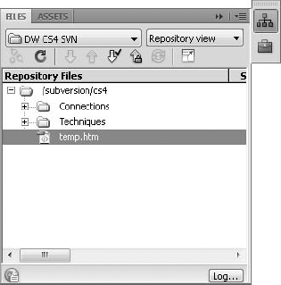 Switch to the Repository view of the Files panel to see files already committed to the project.