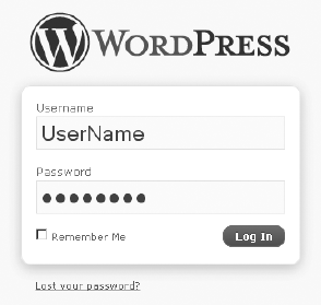 Log in to the WordPress Dashboard.