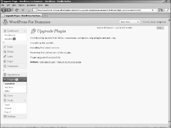 Upgrade Plugin page.