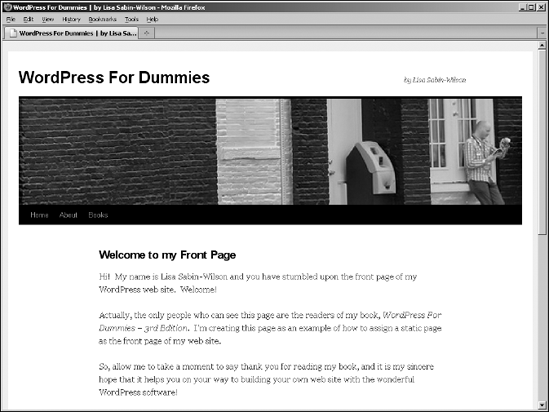 WordPress displays the page you selected as your front page.
