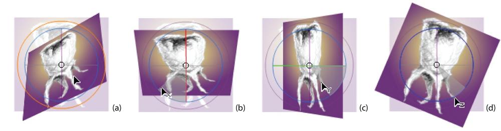 Rotating an image around each 3D axis, and freely