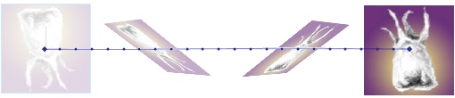 An animation rotating an image 180 degrees around the x- and y-axes