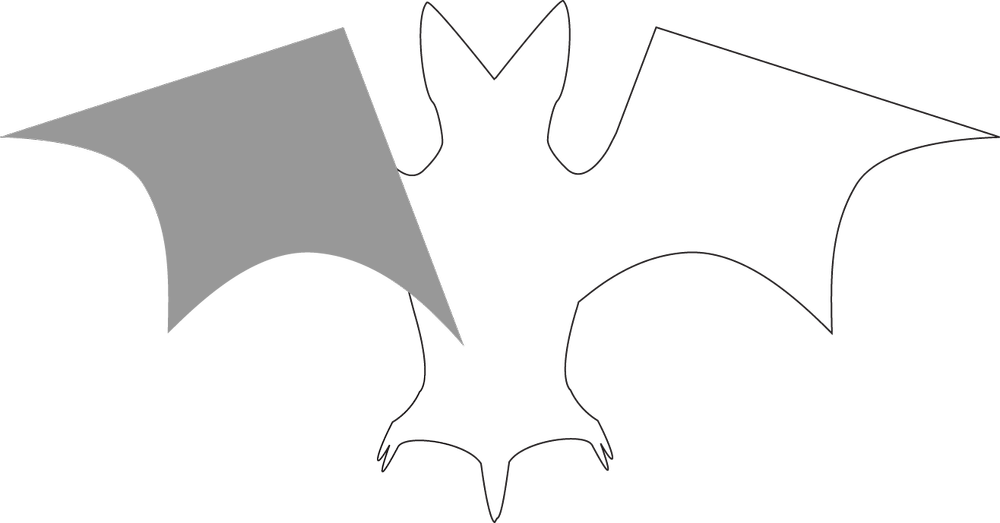 Original wing shape prior to creation of armature (outline of bat for visual context)