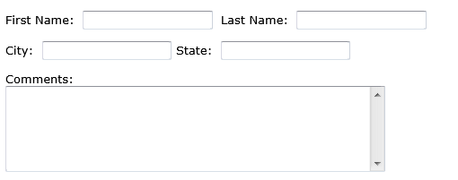 This form contains both single-line and multi-line text boxes.