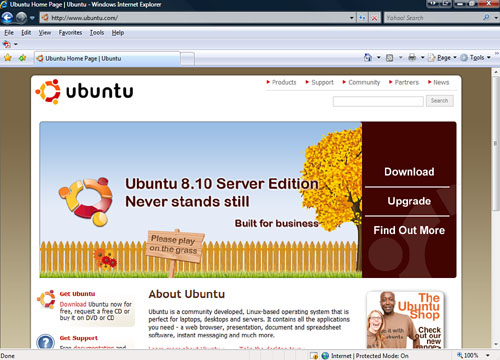 An example of a home page.