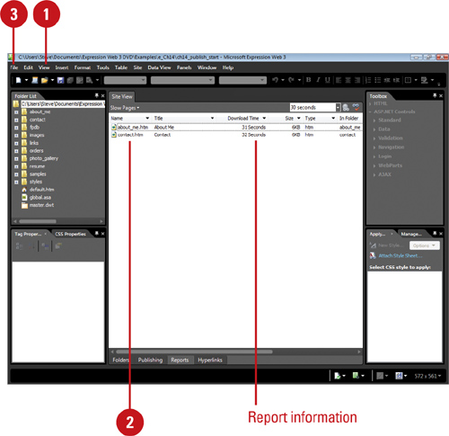 Save a Web Site Report