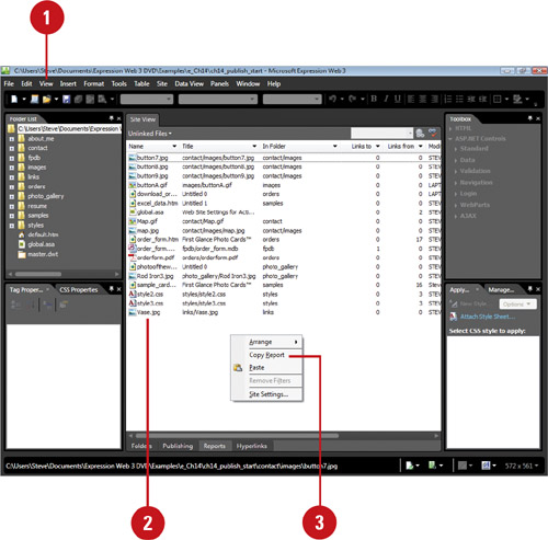 Copy a Web Site Report