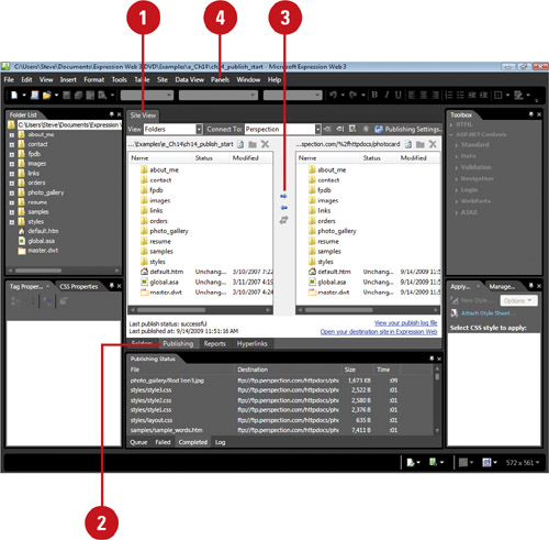 View Publishing Status