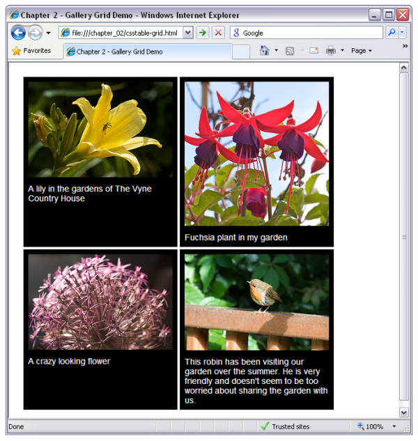 The gallery grid demo in Internet Explorer 8