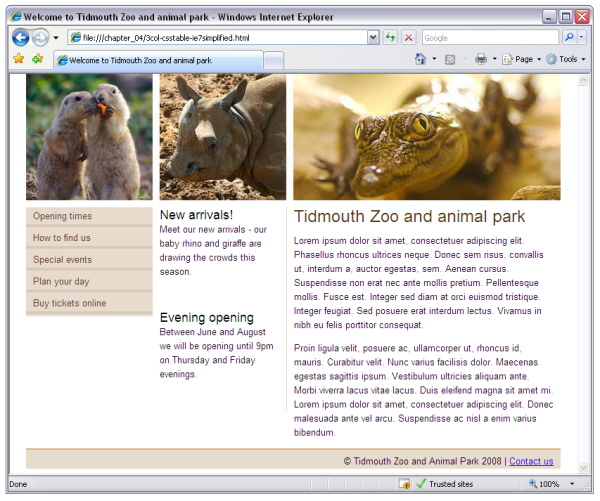 The layout in Internet Explorer 7