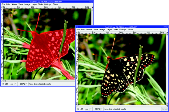 Use the QuickMask to deselect some of the branches at the same distance as the butterfly for a more subtle effect.