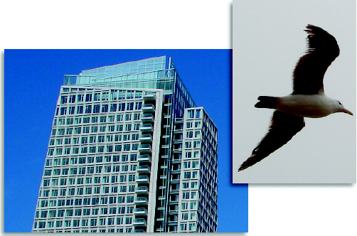 The gull's light and dark areas can make a mask for the building.