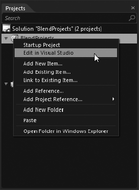 Editing a Expression Blend project in Visual Studio