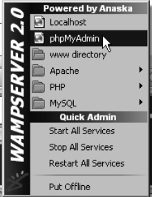 phpMyAdmin is available from the WampServer control panel.