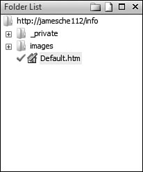 The file icons in the Folder List and other Expression Web views show whether or not a file is checked out.