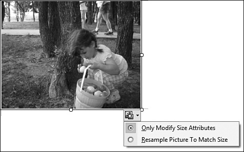 The Picture Actions options can make an image file smaller for faster downloads.