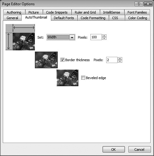 You can configure the way Expression Web creates auto thumbnails using the Page Editor Options dialog.