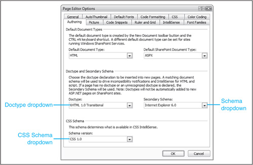 The doctype and schema are configured in the Page Editor Options dialog.