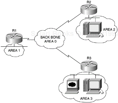 Routing Information of the Frame Relay Network