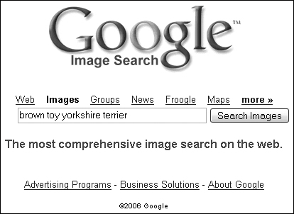 Search terms are typed in the Image Search text box.