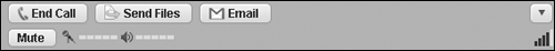 See your voice levels, end the call, or send files and e-mail messages.