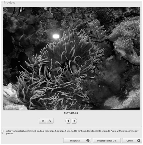Check out the images before importing using the controls in the Preview area of the screen.