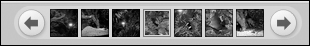 Select an image from a thumbnail strip at the top of the screen.