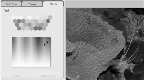 Select a color to use for replacing the original color in an image.